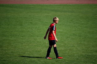 星空体育全站app-世界青年滑板锦标赛中国少年夺奖，青少年滑板联赛