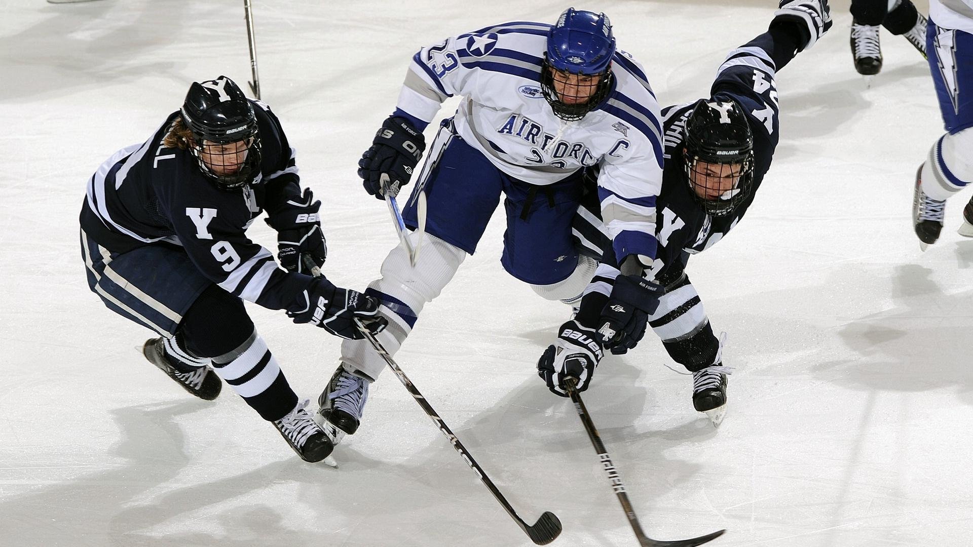 星空app官网下载-“东安湖体育公园：铁人三项挑战选手全能极限”